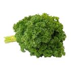 Imported Parsley Australia