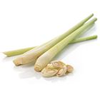 Imported Lemongrass Thailand