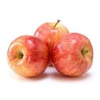 Apple Gacha (Seb)