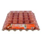 Big Value Fresh Egg Grade B 30 Pieces