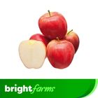 brightfarms Gala Apple 600g ±20g