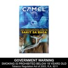 Camel Double Ice 20 Pieces