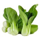 Segar2go Small Pak Choy 250g