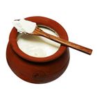 Pak Dairy Matka Yogurt Large 1 Unit