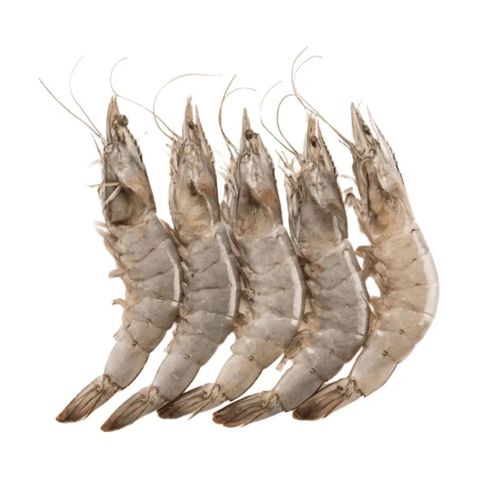 Fresh Sea Fish Horina Small 250g