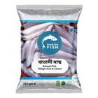 Fresh Sea Fish Kajoli Fish Clean 250g