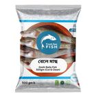 Fresh Sea Fish Deshi Baila Medium Cut & Clean 500g