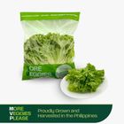 More Veggies Please Batavia Lettuce 180g