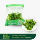 More Veggies Please Crystal Lettuce 180g