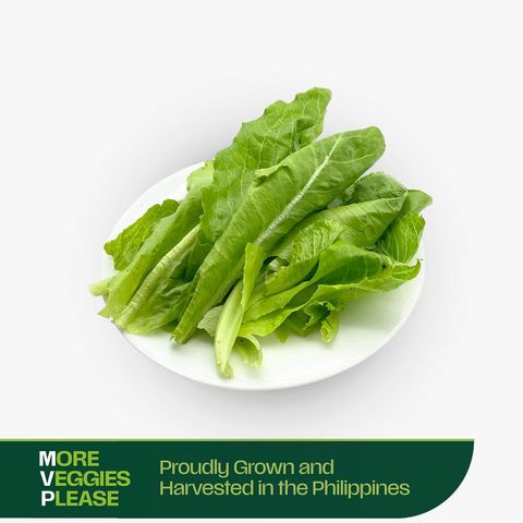 More Veggies Please Romaine Lettuce 180g