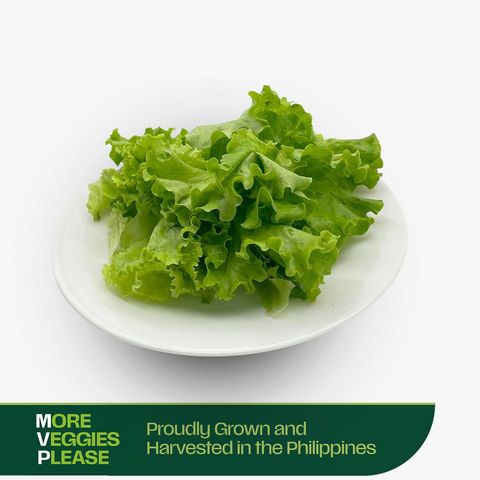 More Veggies Please Batavia Lettuce 180g