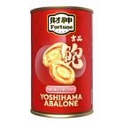 Fortune Yoshihama Abalone in Brine (10 Pieces) 425g