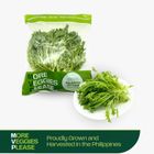 More Veggies Please Salanova Lettuce 180g