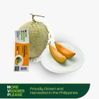 More Veggies Please Premium Japanese Melons Fujisawa 1kg - 1.5kg