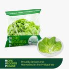 More Veggies Please Butterhead Lettuce 180g