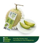 More Veggies Please Premium Japanese Melons Sagami 1kg - 1.5kg