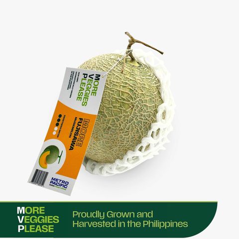 More Veggies Please Premium Japanese Melons Fujisawa 1kg - 1.5kg