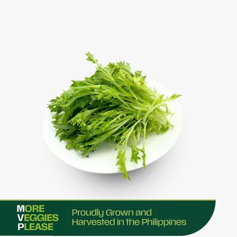 More Veggies Please Salanova Lettuce 180g