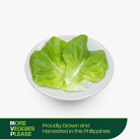 More Veggies Please Butterhead Lettuce 180g