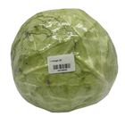 1661300205| Cabbage (B) 1 Piece