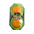 Japan Tonekaki Persimmon 1 pack (2 pcs)