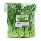 Bok Choy Vegetable 250g