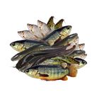Fresh Sea Fish Deshi Mix Fish Cut & Clean 250g