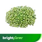 brightfarms Jhum Pahari Hill Brinjal Begun Sweet Small 250g ±10g