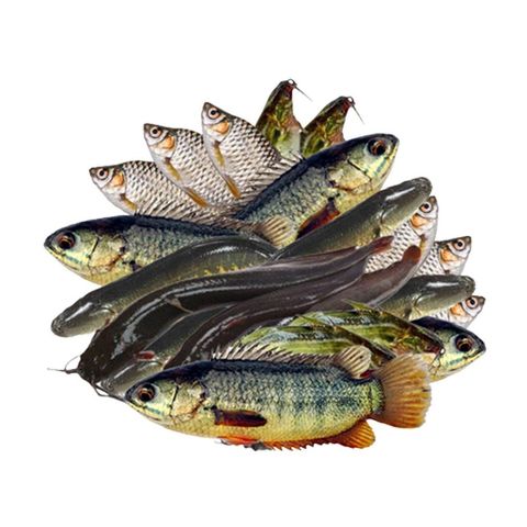 Fresh Sea Fish Deshi Mix Fish Cut & Clean 250g