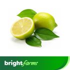 brightfarms Lemon  Seedless 4 Pieces