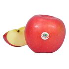 Dizon Farms Alfa Fuji Apple Big (#32) 1 Piece