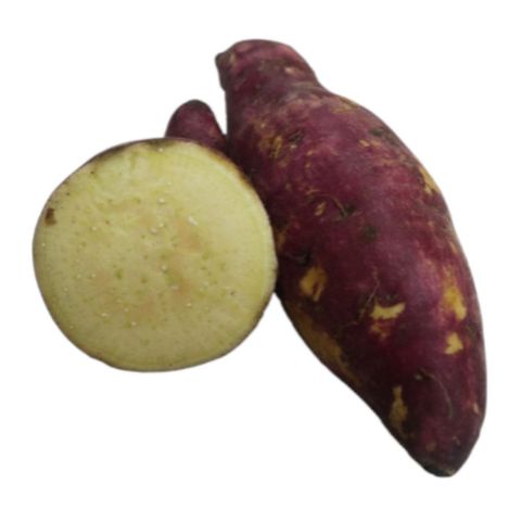 Dizon Farms Sweet Potato Yellow (Camote) 500g