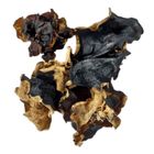 Dizon Farms Tengang Daga Mushroom 200g