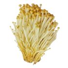 Dizon Farms Mushroom Enoki Brown 1 Packet