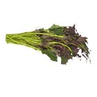 Dizon Farms Camote Tops 200g