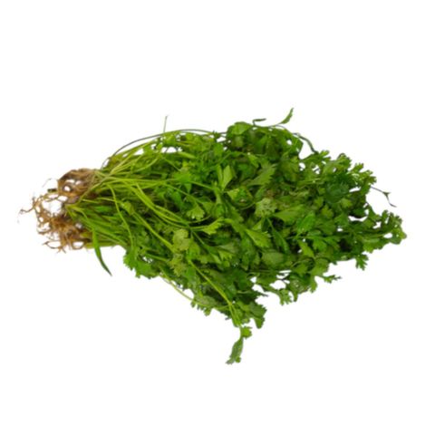 Dizon Farms Kinchay Herbs 50g