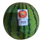 Lucky Watermelon Red Seedless 1 Piece