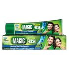 Magic Fresh Natural Gel Toothpaste 90g