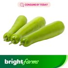 brightfarms Bottle Gourd Long - Lambi Lauki (Pakistan) 1 kg (Consume by Today)