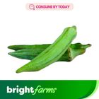 brightfarms Ladyfinger -Bhindi (Sindh) 1 kg (Consume by Today)