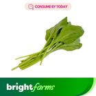 Spinach (Palak) 500 g (Consume by Today)