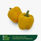 More Veggies Please Yellow Bell Pepper 250g