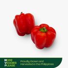 More Veggies Please Red Bell Pepper 250g