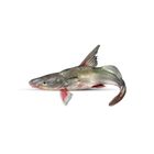 Ayer Fish Special 1.5kg