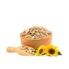 Sera Dana Sunflower Seeds 500g
