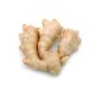 Halia Tua | 200 g