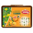 Vitalp Herbal Drops with Seabuckthorn & Orange Relieves Cough (10 Pieces) 40g | 100491596