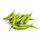 Gf Sili Sinigang