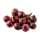 Global Fresh Red Onion (127253)
