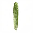 Global Fresh Bitter Gourd (127638)